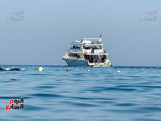 الرحلات والأنشطة البحرية الرحلات والأنشطة البحرية