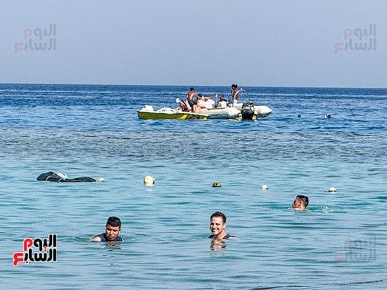 الاستمتاع بركب البدالات فى شواطىء شرم الشيخ الاستمتاع بركب البدالات فى شواطىء شرم الشيخ