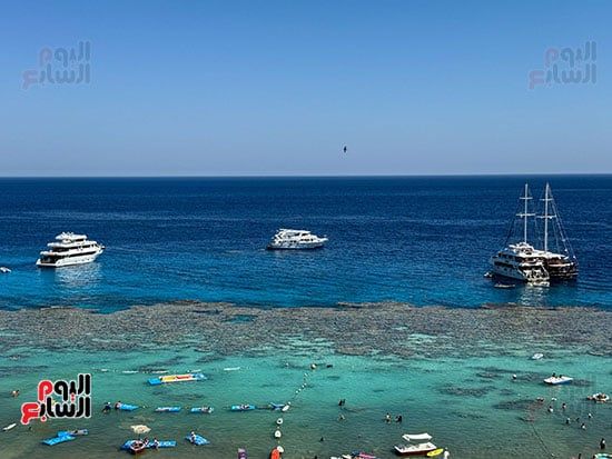رحلات السفارى البحرى بشرم الشيخ رحلات السفارى البحرى بشرم الشيخ
