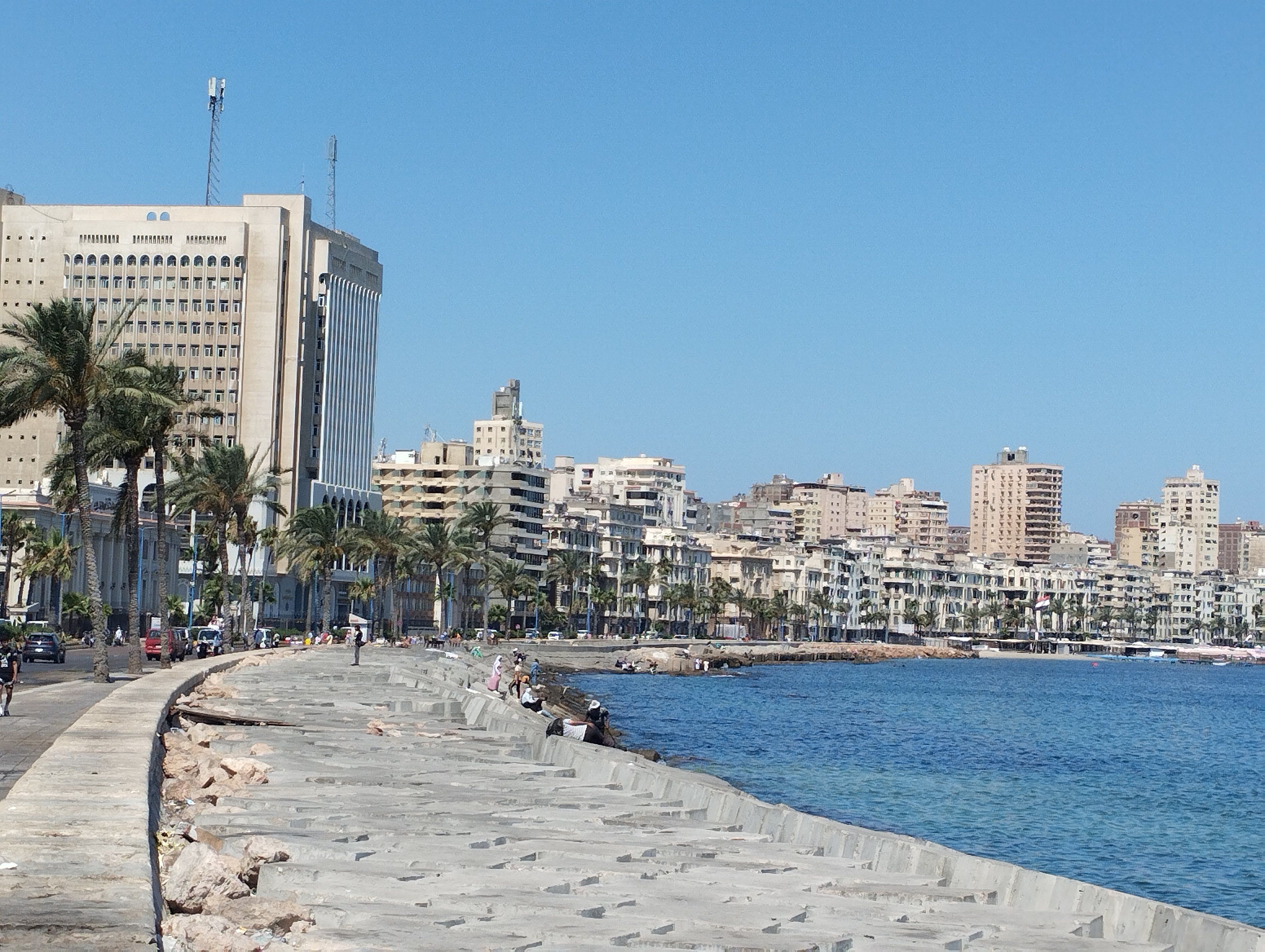 طقس مائل للحرارة في الإسكندرية طقس مائل للحرارة في الإسكندرية
