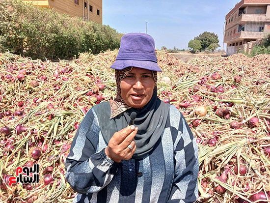 ام-سعيد-اشهر-مقاولة-انفار-بالشرقية ام-سعيد-اشهر-مقاولة-انفار-بالشرقية