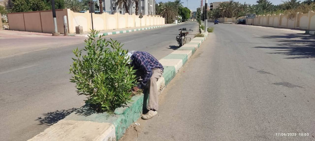 قص وتهذيب الشوارع