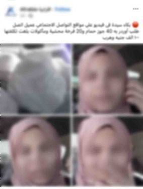 466fd64f-7c18-4b16-b0d4-d3cb767aed75 466fd64f-7c18-4b16-b0d4-d3cb767aed75