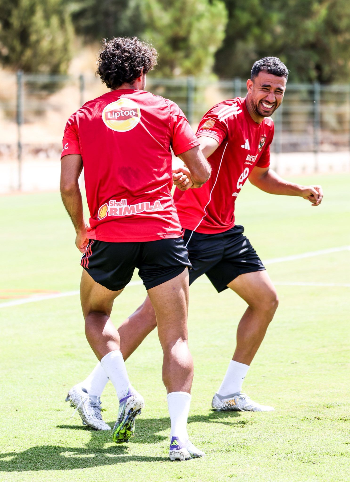 تريزي وهاني