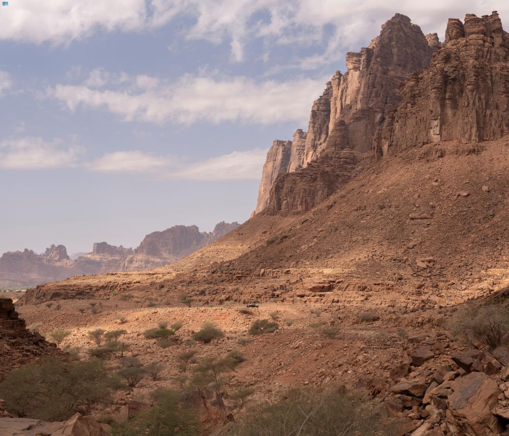 ولادة أول