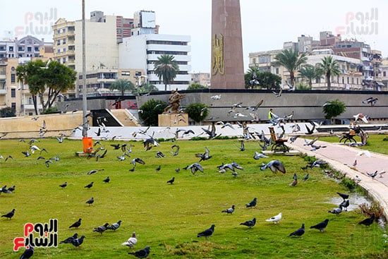 ميدان الشهداء (21) ميدان الشهداء (21)