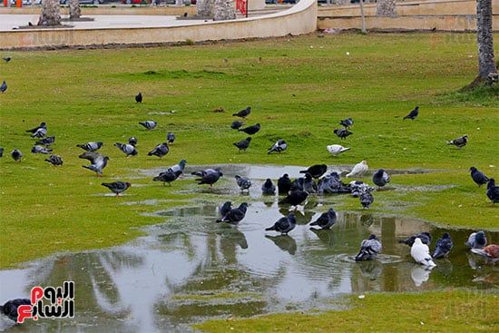 ميدان الشهداء (14) ميدان الشهداء (14)