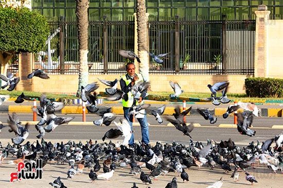 ميدان الشهداء (9) ميدان الشهداء (9)