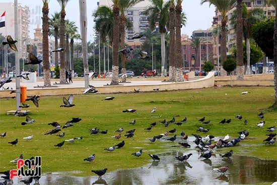 ميدان الشهداء (17) ميدان الشهداء (17)