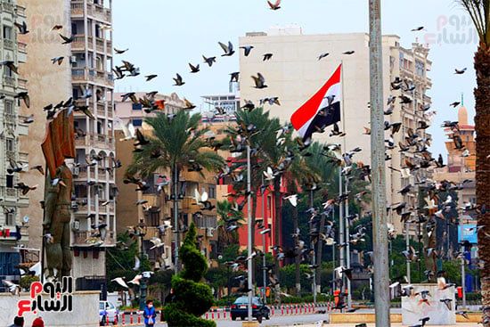 ميدان الشهداء (28) ميدان الشهداء (28)