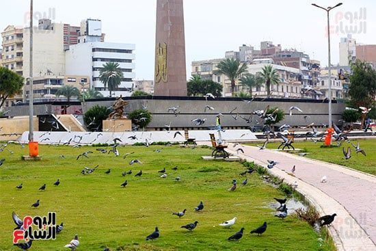 ميدان الشهداء (23) ميدان الشهداء (23)