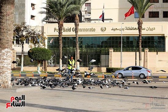 ميدان الشهداء (6) ميدان الشهداء (6)