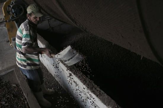الرسوم الجمركية الأمريكية تهدد مزارعوا البن فى البرازيل (8) الرسوم الجمركية الأمريكية تهدد مزارعوا البن فى البرازيل (8)