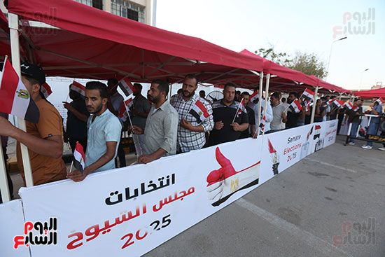 الطوابير فى لجان التجمع الطوابير فى لجان التجمع