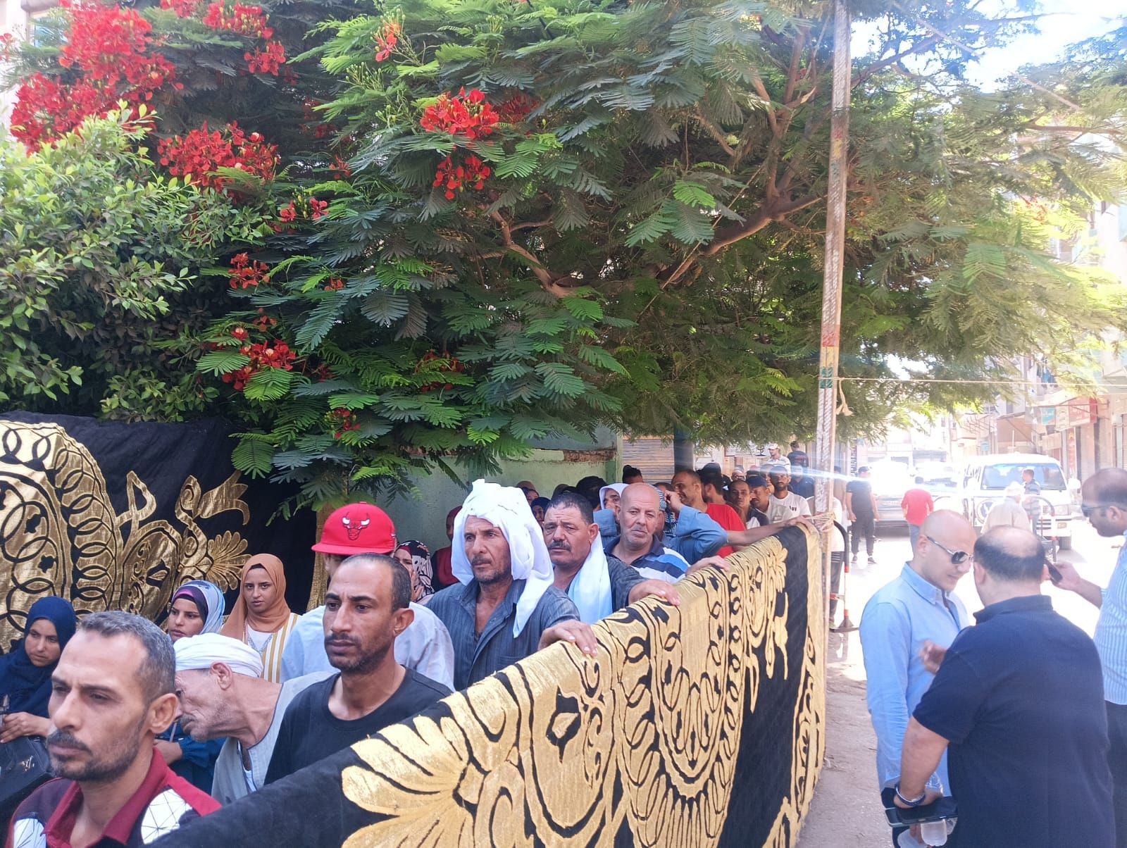 انتخابات الشيوخ فى الإسماعيلى انتخابات الشيوخ فى الإسماعيلى