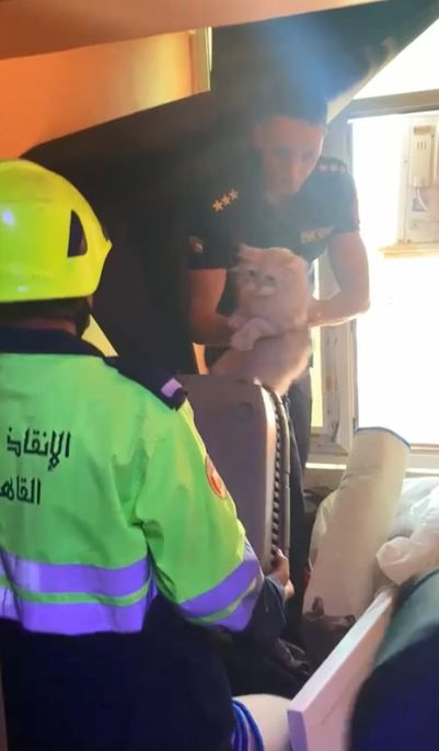 انقاذ قطة معلقة أعلى وحدة تكييف خارجى لعقار (2) انقاذ قطة معلقة أعلى وحدة تكييف خارجى لعقار (2)