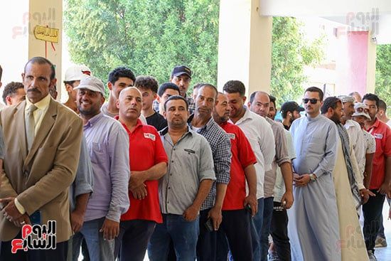انتخابات الشيوخ (8)