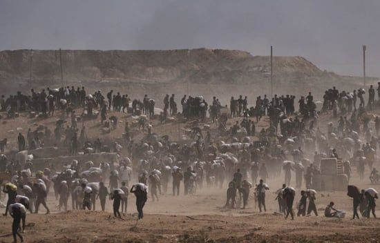 مصر تواصل الإسقاط الجوى لأهالى غزة (4) مصر تواصل الإسقاط الجوى لأهالى غزة (4)