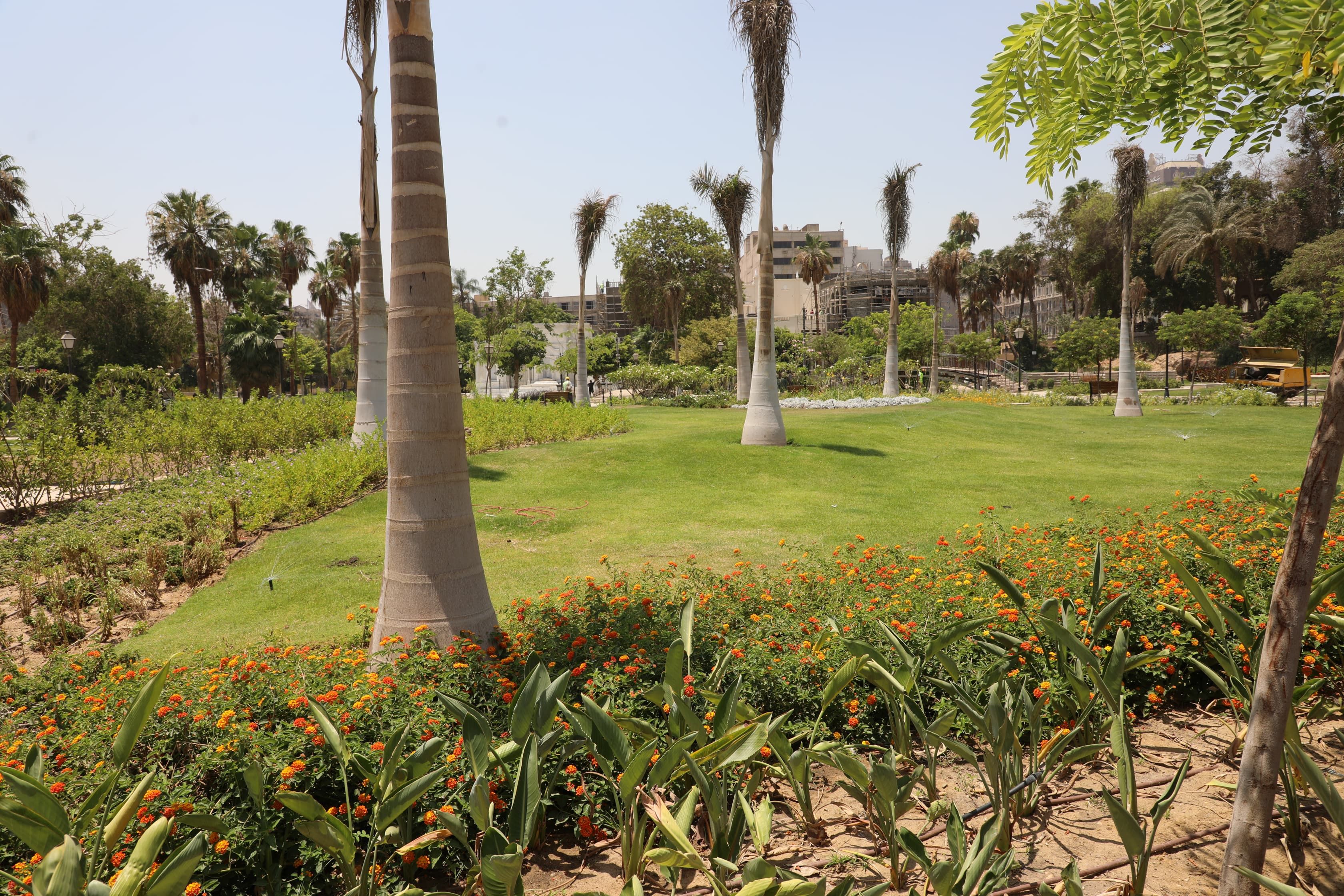 اعمال تطوير حديقة الأزبكية (3) (1)