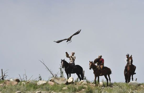 قيرغيزستان الصيادين التقليديين مع النسور في مهرجان سالبورون (2)