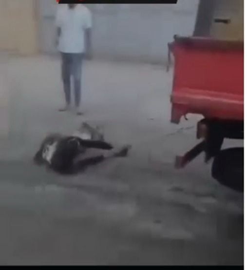 جانب من الواقعة (2)