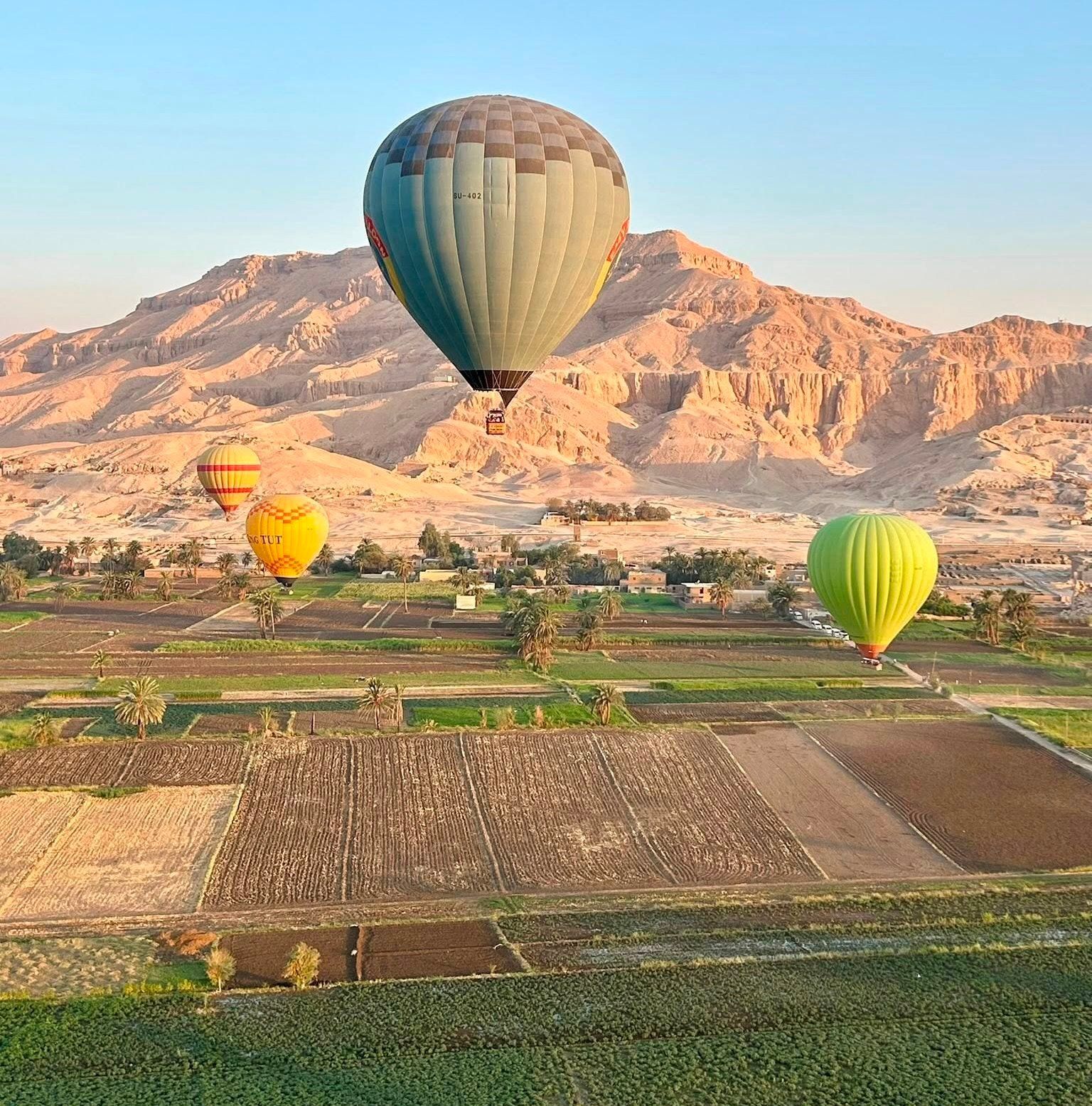 جانب من تغريد رحلات البالون الطائر جانب من تغريد رحلات البالون الطائر