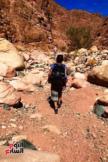 جبل الشايب (4)