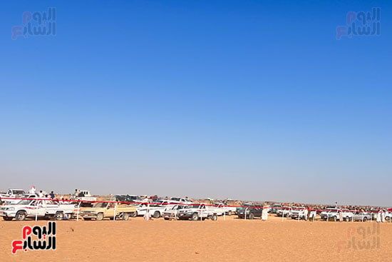 ميدان-سباقات-الهجن-في-مدينة-العلمين ميدان-سباقات-الهجن-في-مدينة-العلمين