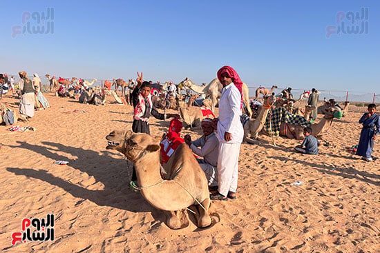 حضور-جماهيري-لسباقات-الهجن حضور-جماهيري-لسباقات-الهجن