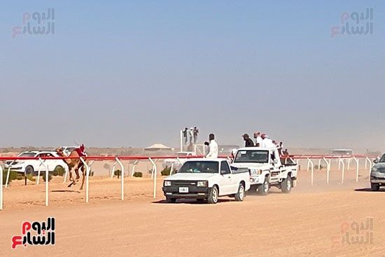 ميدان-سباقات-الهجن ميدان-سباقات-الهجن