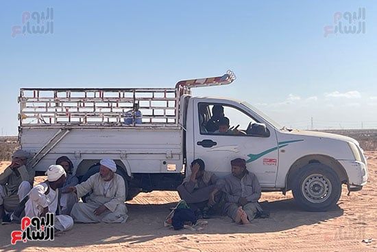 حضور-جماهيري-لسباقات-الهجن-فى-العلمين حضور-جماهيري-لسباقات-الهجن-فى-العلمين