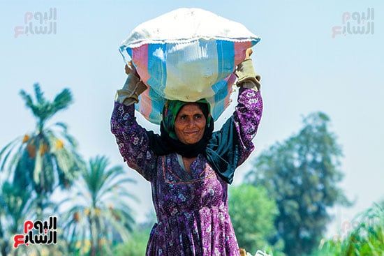 فلاحة مصرية