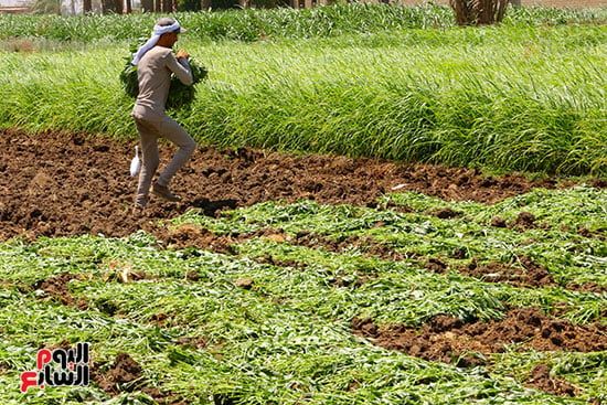 بداية التجفيف بداية التجفيف