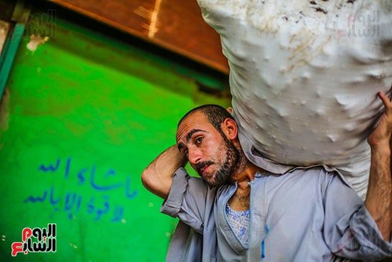 اليوم العالمى للتصوير (22)