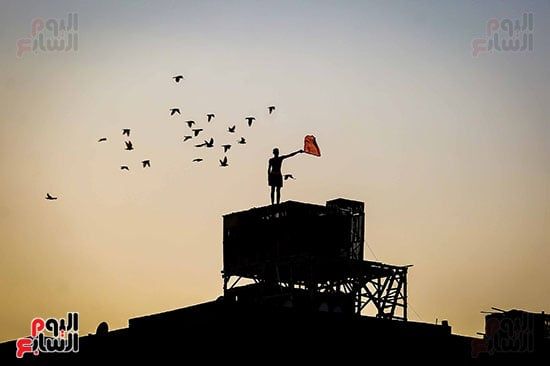 اليوم العالمى للتصوير (7)