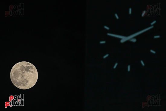 اليوم العالمى للتصوير (24)