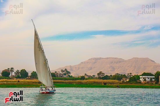 اليوم العالمى للتصوير (17)