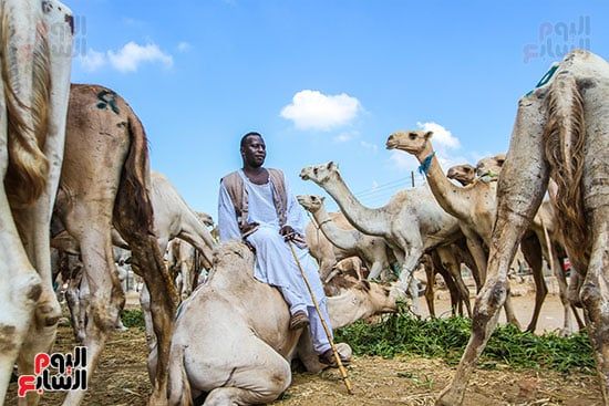 اليوم العالمى للتصوير (16)