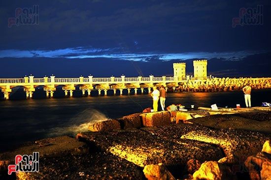 اليوم العالمى للتصوير (12) اليوم العالمى للتصوير (12)