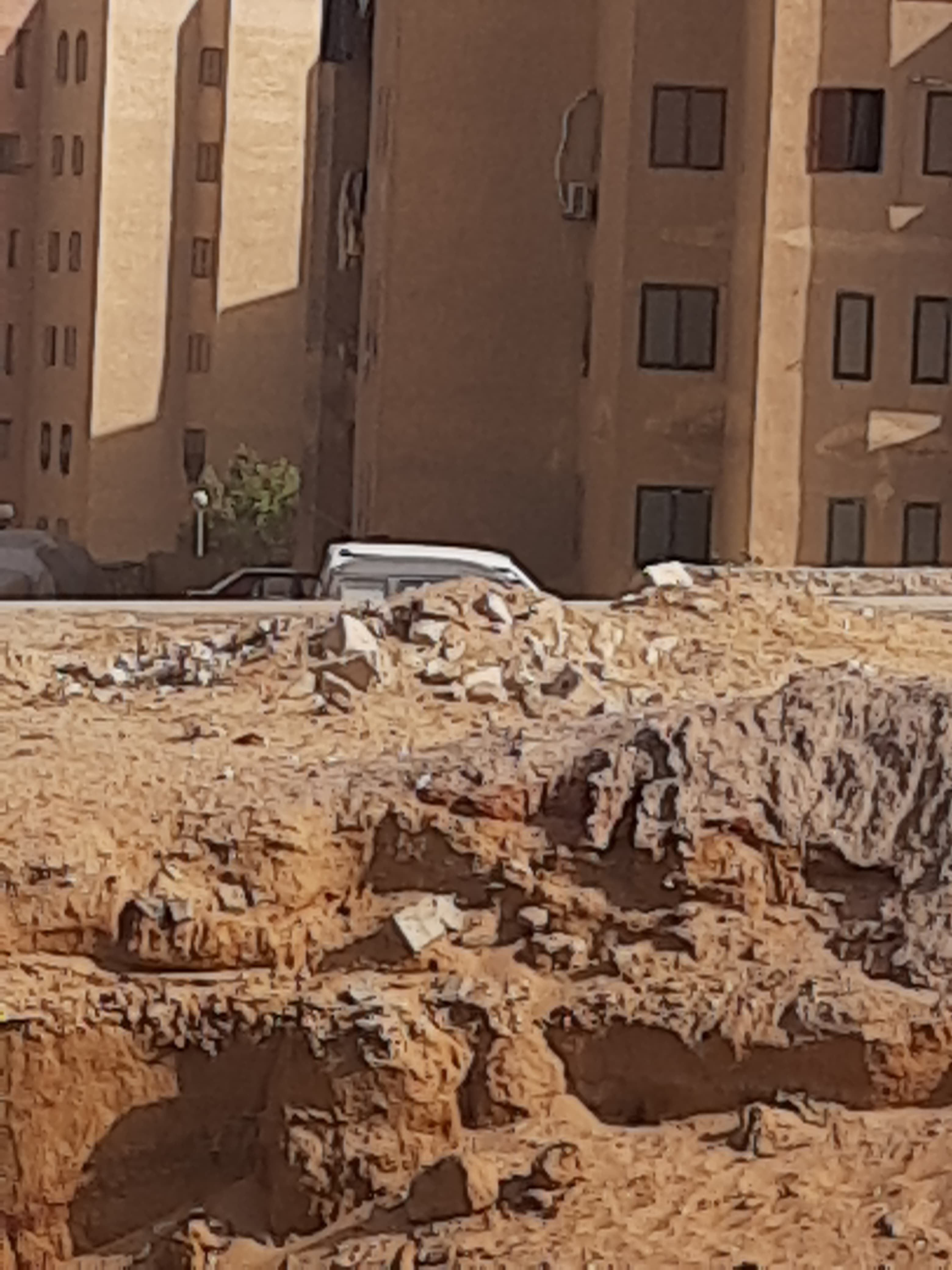 نقص التشجير (2)