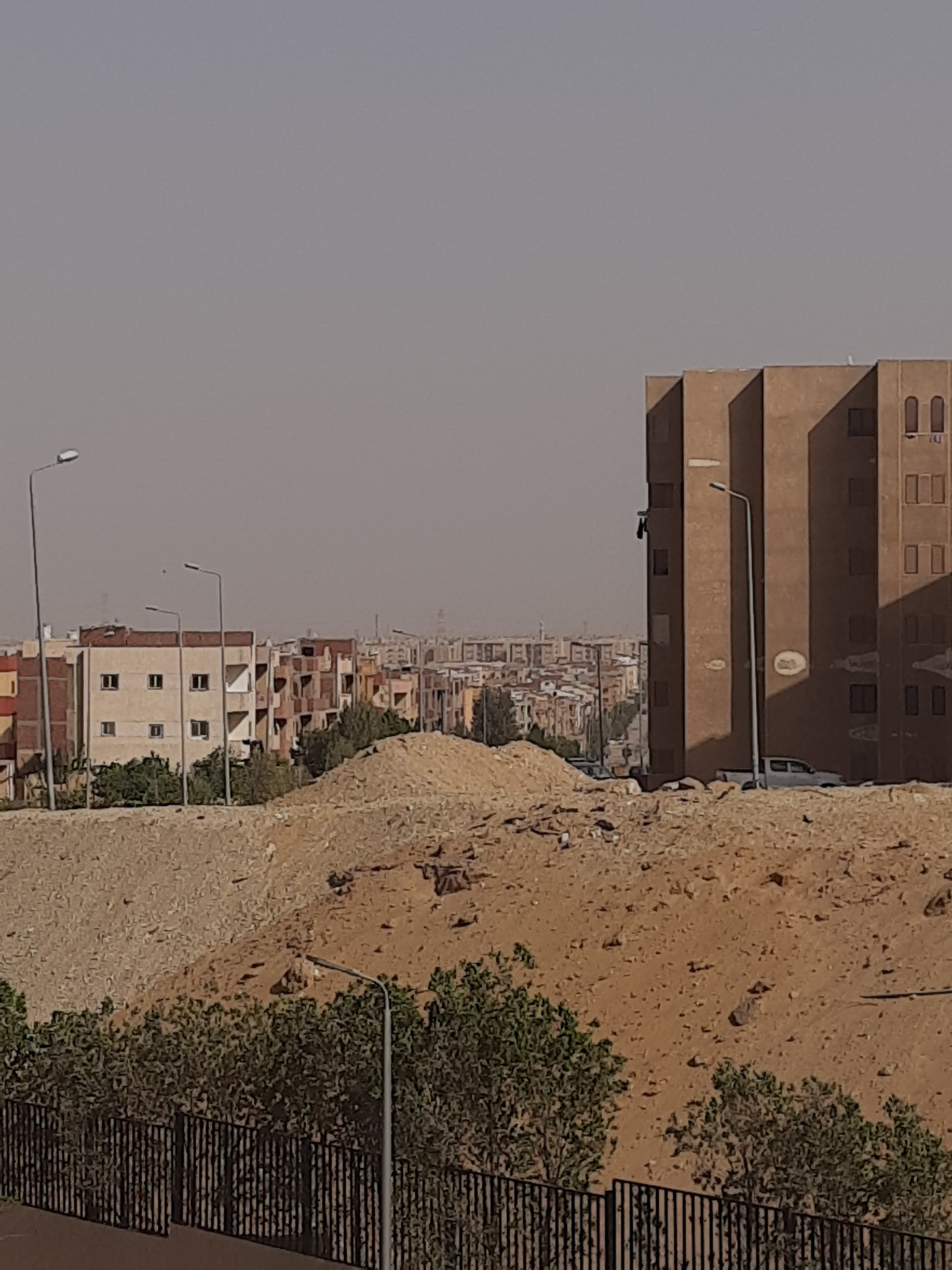 نقص التشجير (3)