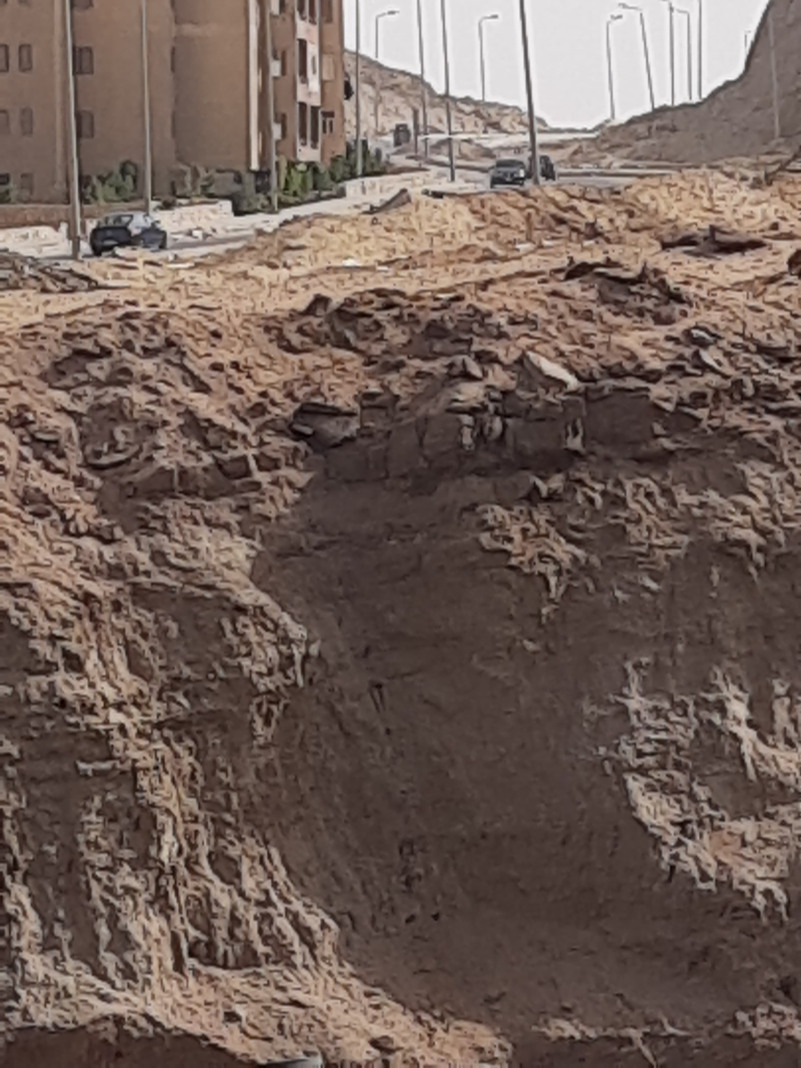 نقص التشجير (4)
