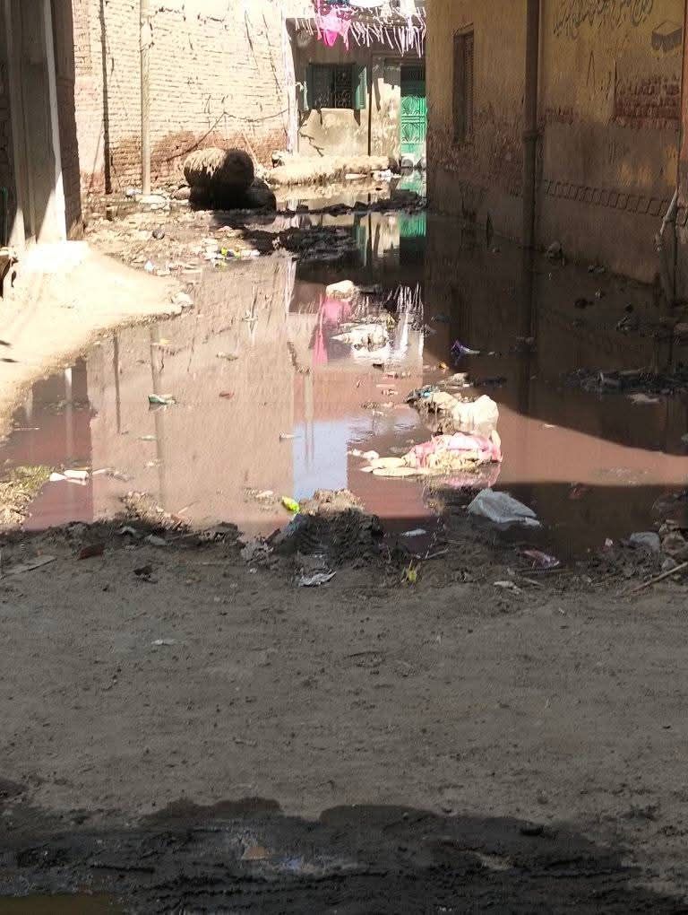المياه الجوفية تغمر شوارع قرية العطف (5)
