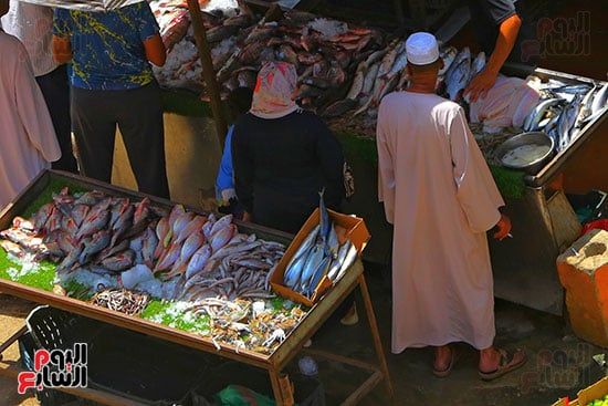 سوق السمك (3)