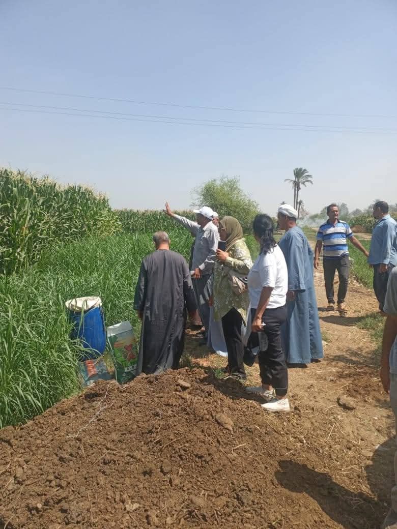 الزراعات الزراعات