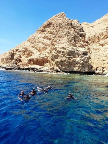 الغوص-في-البحر-الأحمر-
