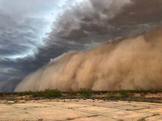 عاصفة ترابية فى نيويورك (5) عاصفة ترابية فى نيويورك (5)