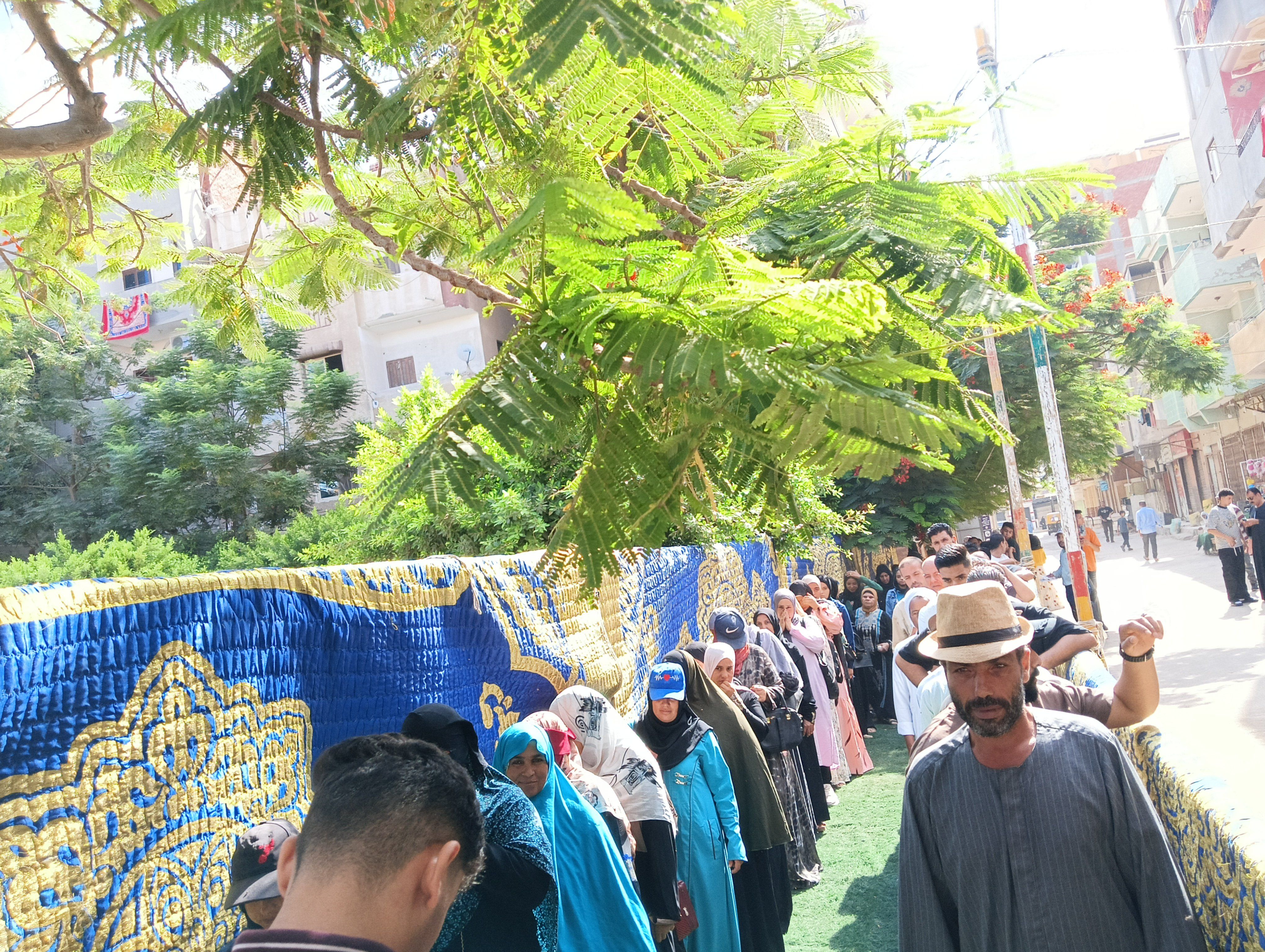 انتخابات الاعادة لمجلس الشيوخ انتخابات الاعادة لمجلس الشيوخ