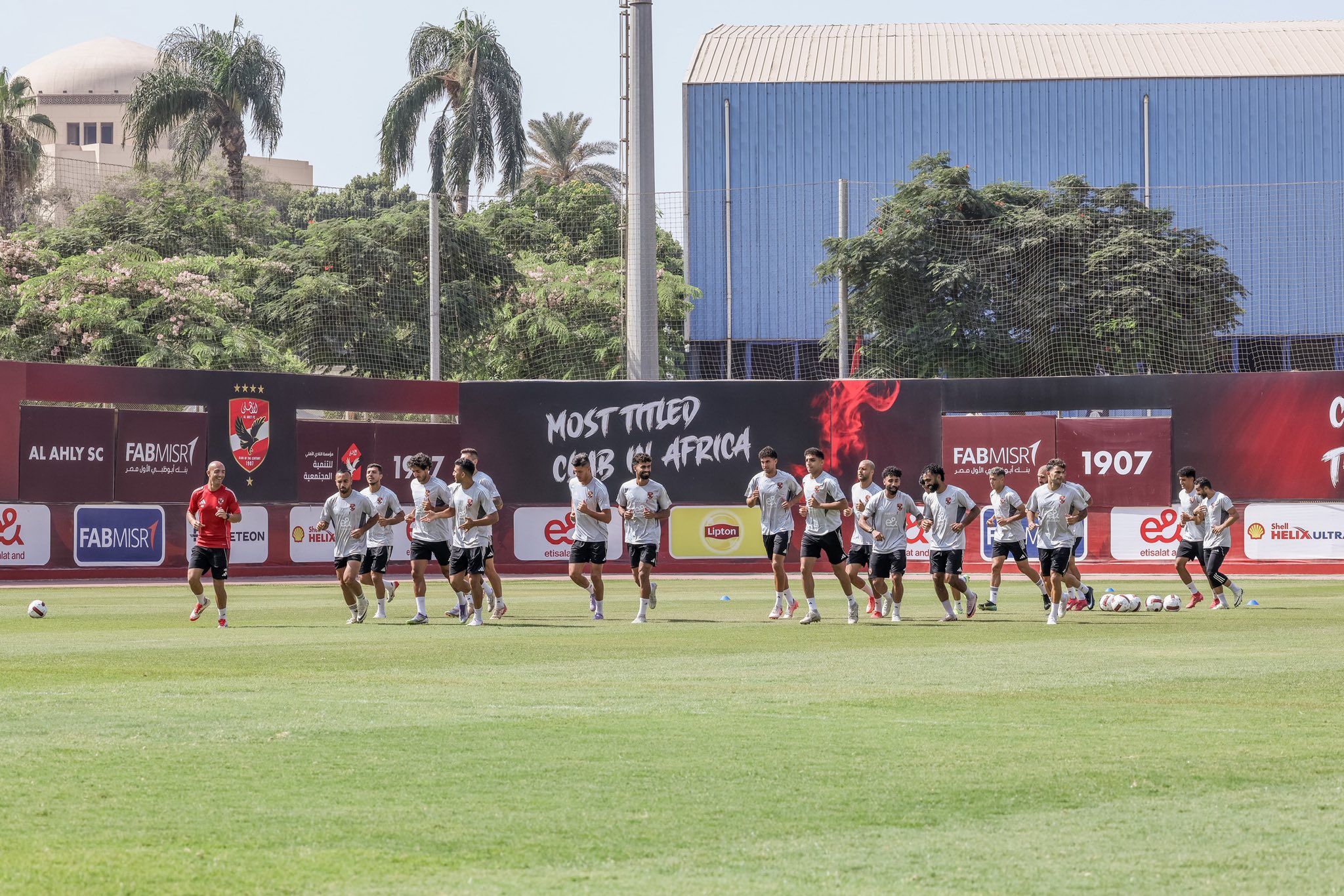 الاهلي الاهلي