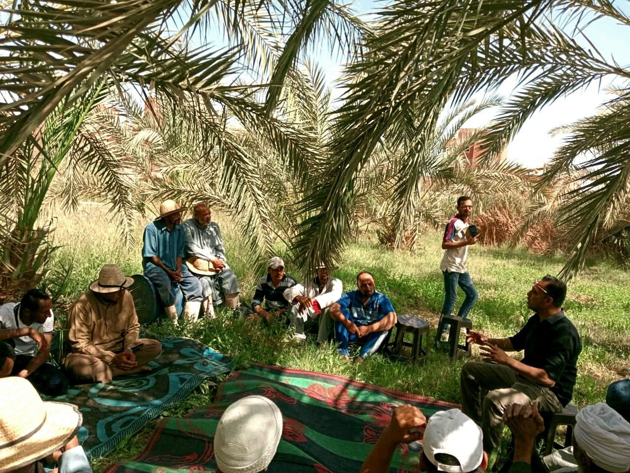 ندوات حقلية للمزارعين ندوات حقلية للمزارعين